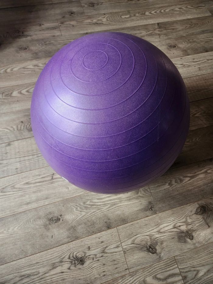 Ballon de Gym - photo numéro 2