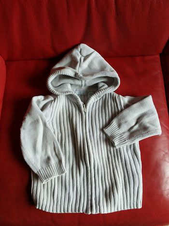 Gilet zippé à capuche