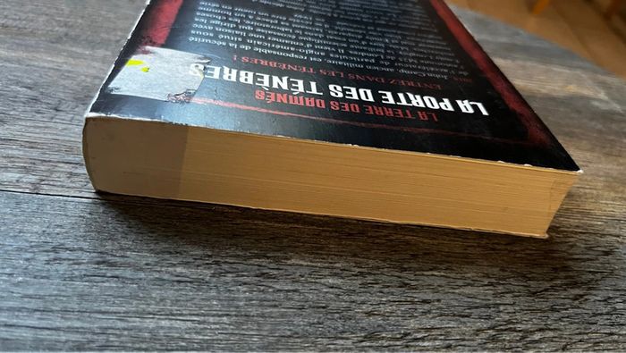 La porte des ténèbres - photo numéro 4