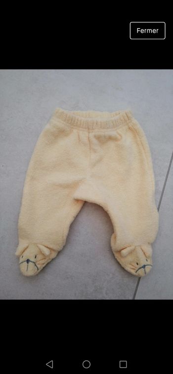 Bas pied chien 1 mois