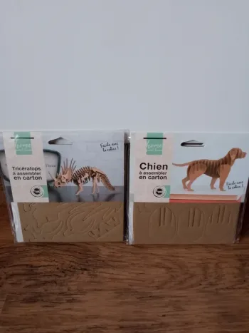 Cartons à assembler dinosaure/chien