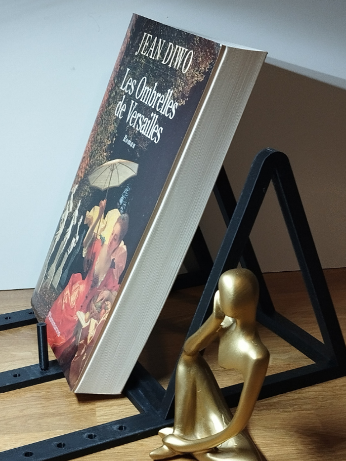 Roman Les ombrelles de Versailles de Jean Diwo - photo numéro 3