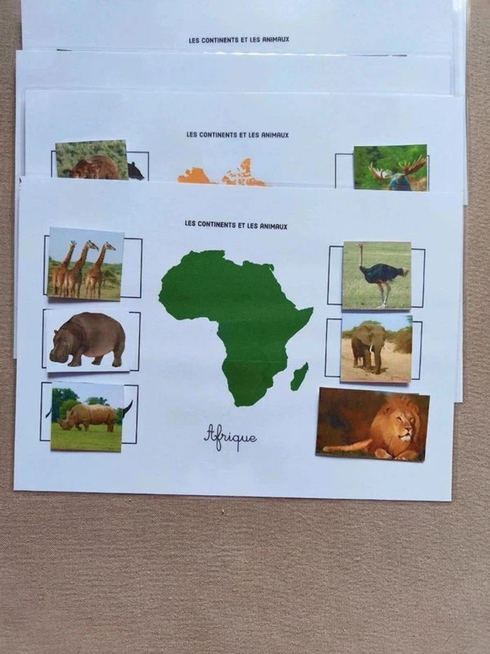 Les 7 continents et ses animaux à scratcher Montessori - photo numéro 4
