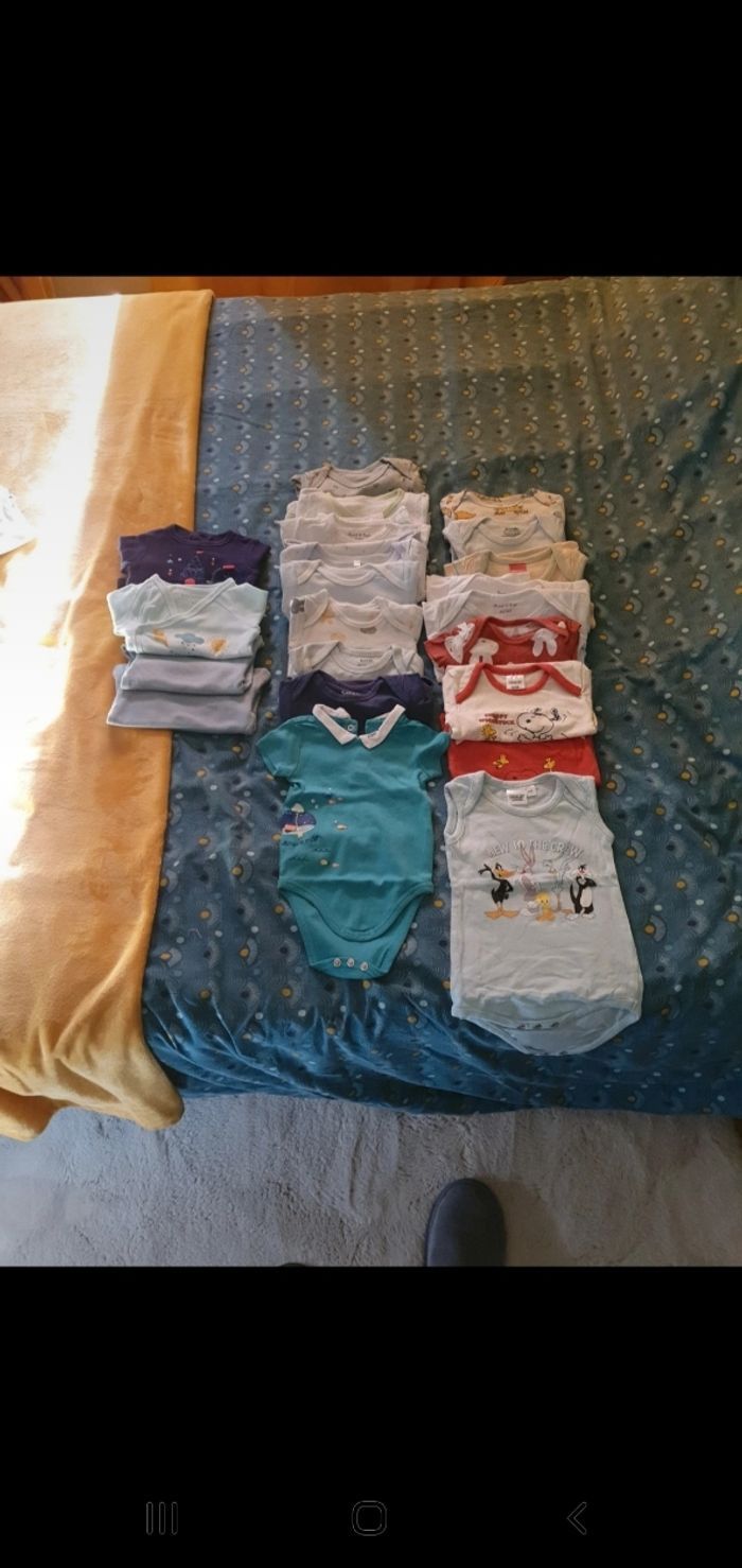 Lot bodies