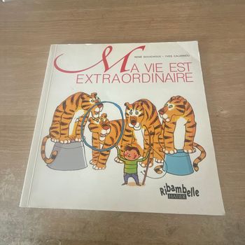 Livre «Ma vie est extraordinaire»