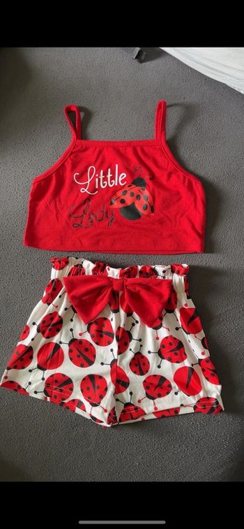 Ensemble coccinelle
