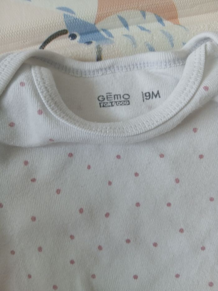 Bodie - photo numéro 3