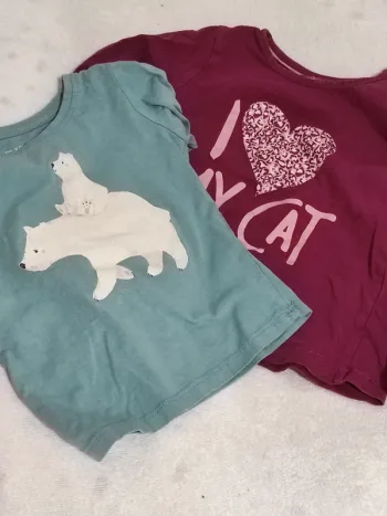 Lot 2 T-shirt Manche Longue - 12/18 & 12/24 Mois - Fille