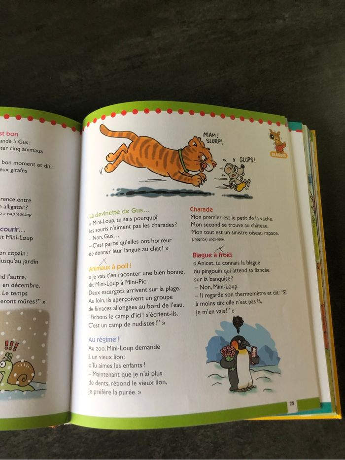 Livre petit loup - photo numéro 5
