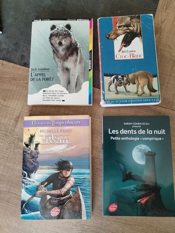 Lot livres ados