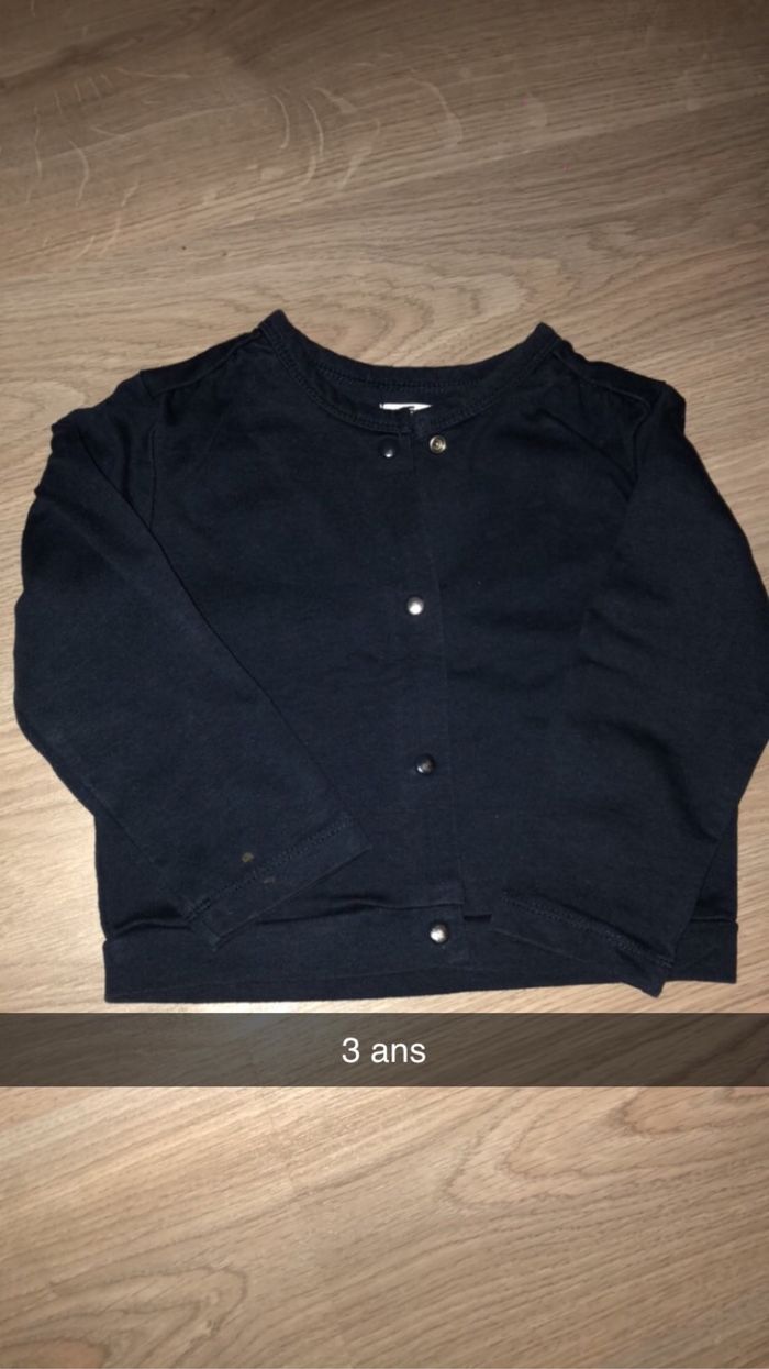 Veste