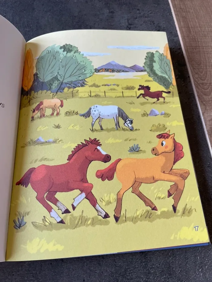 Lot 2 livres Je suis en CP Niveau 3 je lis tout seul - photo numéro 8