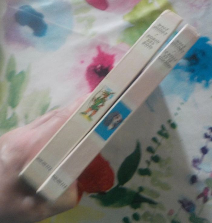 2 Bibliothèque Rose Robin des Bois et La Belle et le Clochard - photo numéro 3