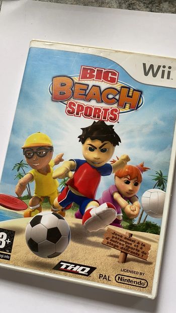 big beach sports wii