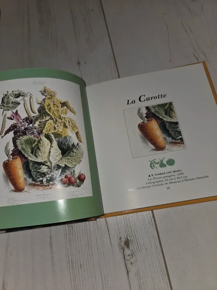 Livre le musée des potagers - photo numéro 2