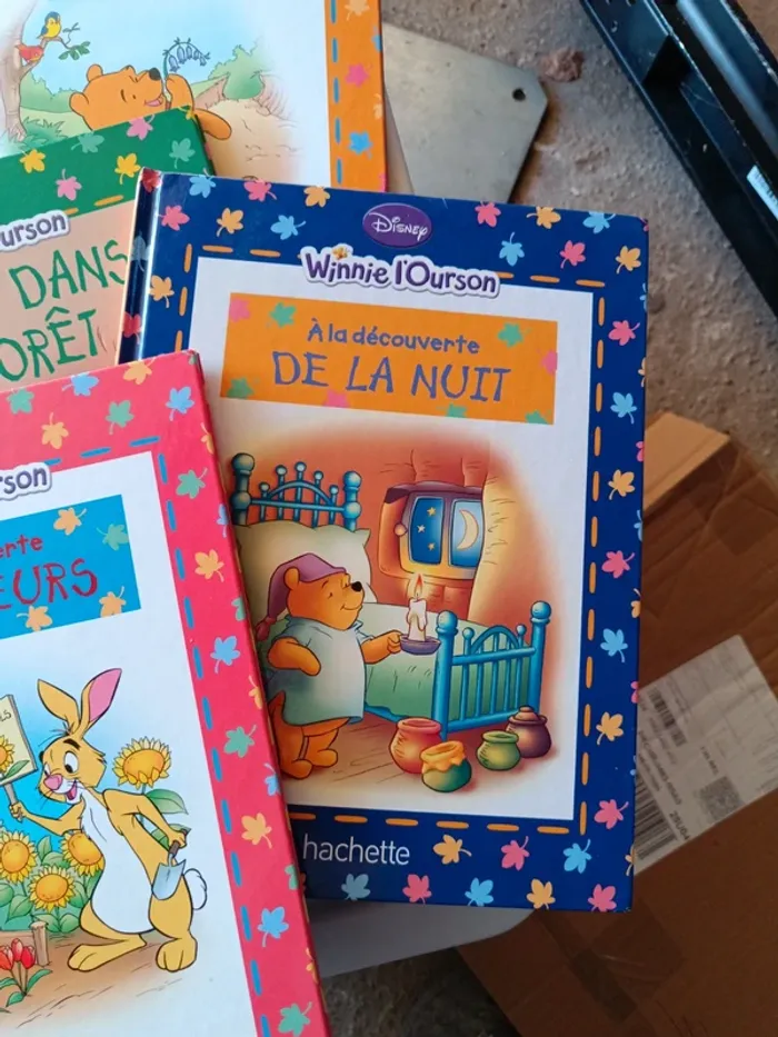 Winnie l'Ourson - photo numéro 3