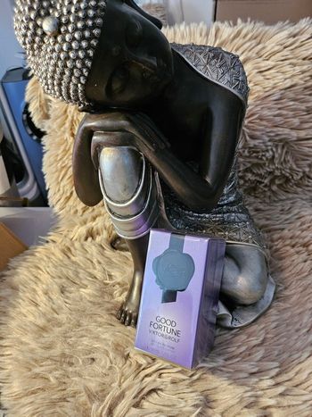 Parfum neuf : Viktor & Rolf Good Fortune Eau de parfum florale envoûtante pour femme  50 ML