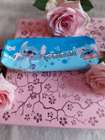 Trousse assez grande stitch