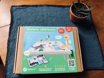 Kit Pandacraft Deviens vétérinaire 8 12 ans NEUF