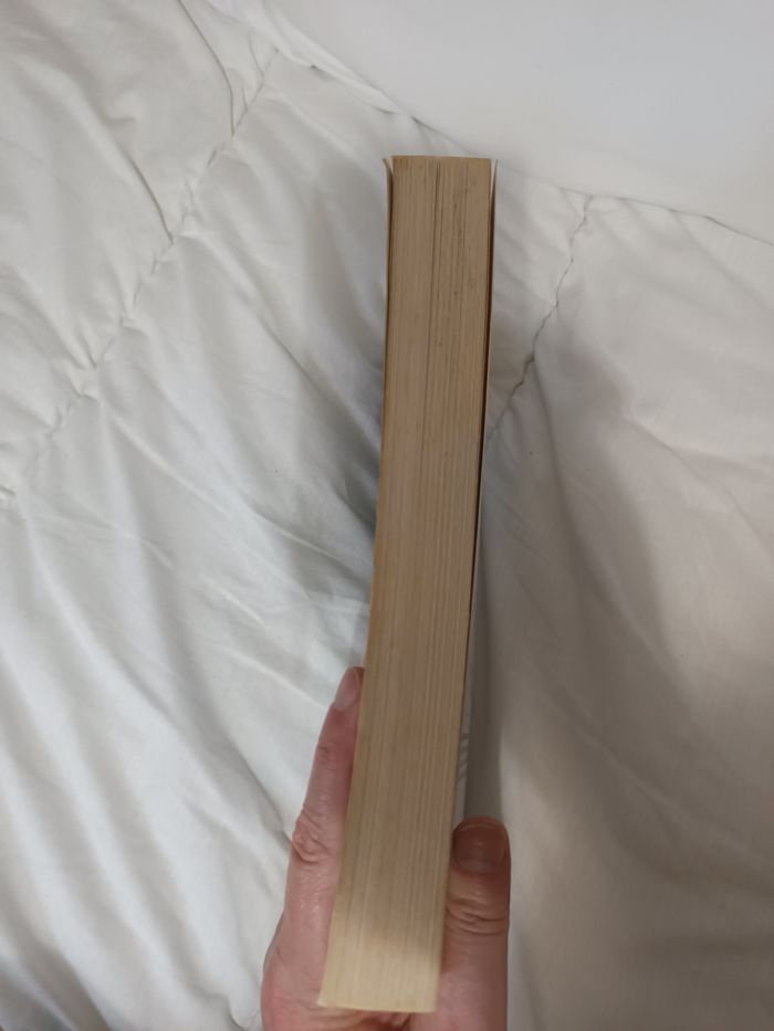 Roman historique Les enfants du dernier salut - photo numéro 5