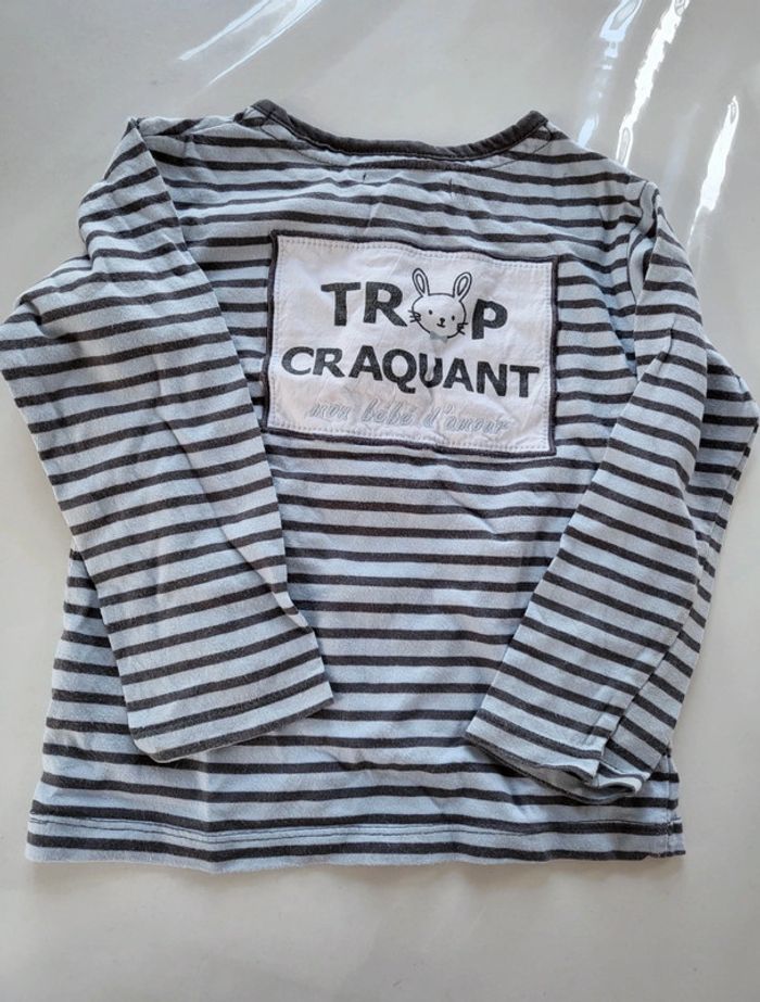 T-shirt mes petits cailloux taille 24 mois - photo numéro 2