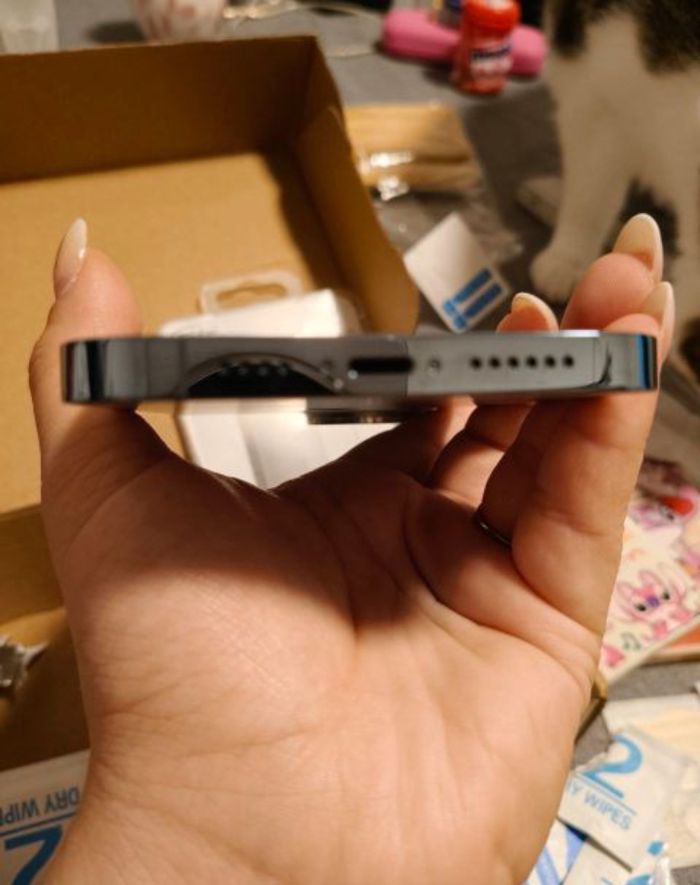 Iphone treize pro max - photo numéro 7