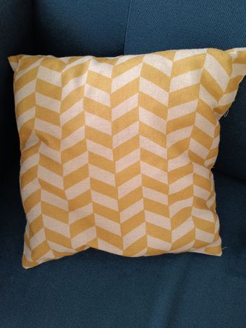 Lot de coussins décoratifs x4