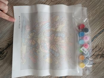 Peinture par numéros papillon 20x20