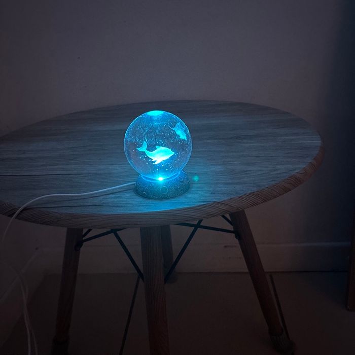 Boule De Cristal Dauphin - photo numéro 7
