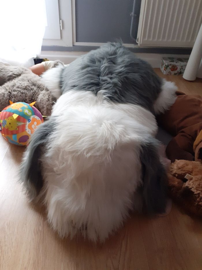 Très grande peluche chien