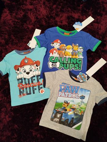lot de 3 t-shirts pat patrouille