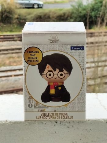 Harry Potter veilleuse de poche 3d led