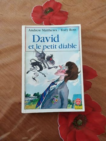 Livre pour enfant "David et le petit Diable" de Andrew Matthews et Tony Ross