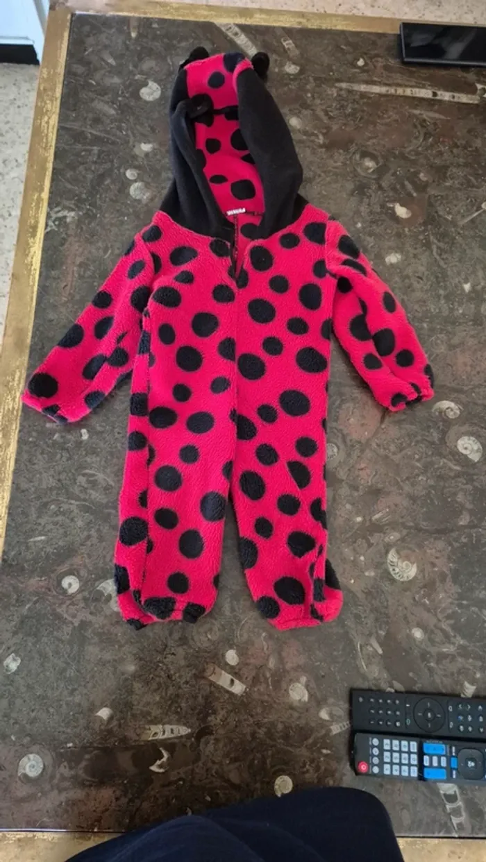 Déguisement coccinelle