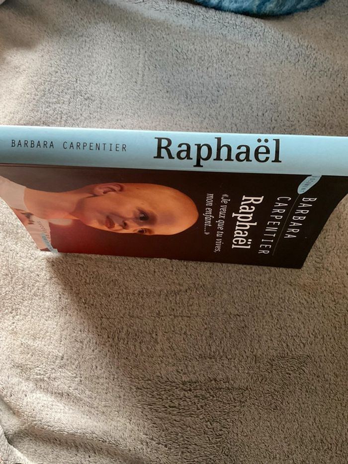 #Raphaël Barbara Carpentier - photo numéro 4