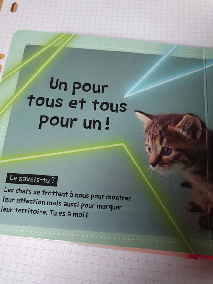Livre bébé sur les chats 🐱 - photo numéro 3