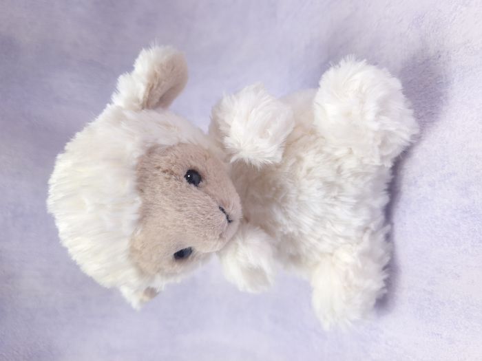 peluche Jellycat agneau retired Yummy Lamb neuf YUM6LM - photo numéro 2