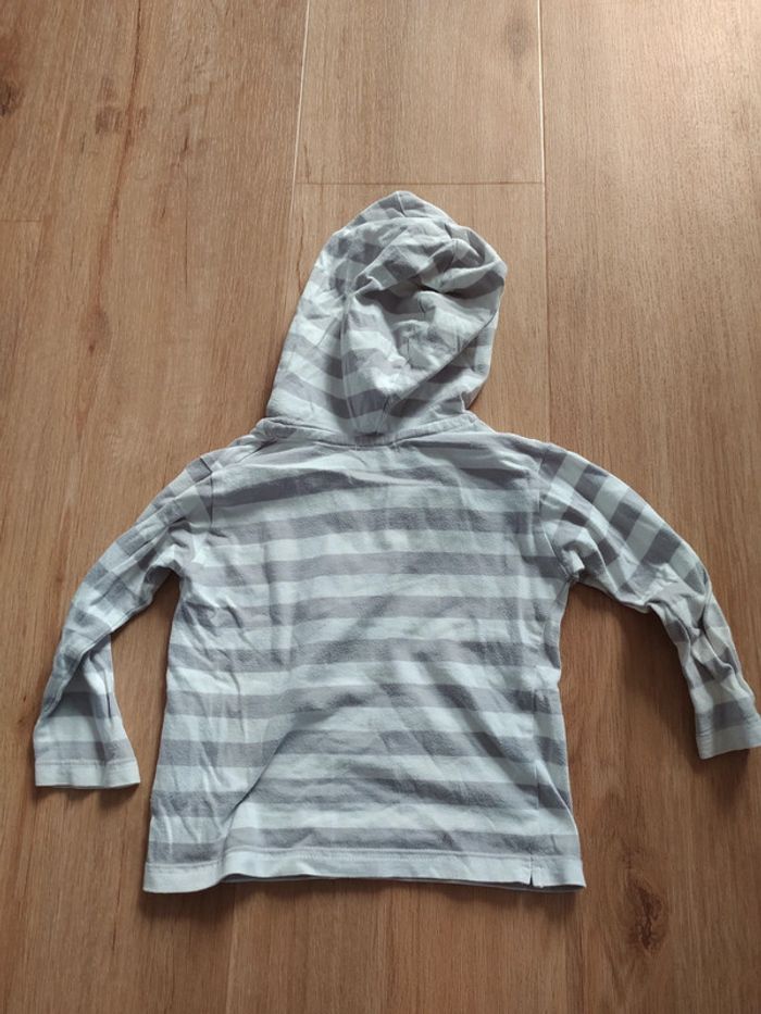 T-shirt manches longues capuche grain de blé 18M - photo numéro 4