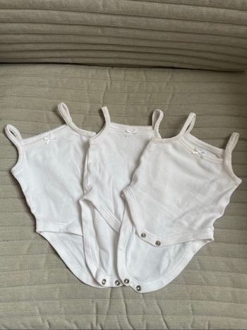 Lot body