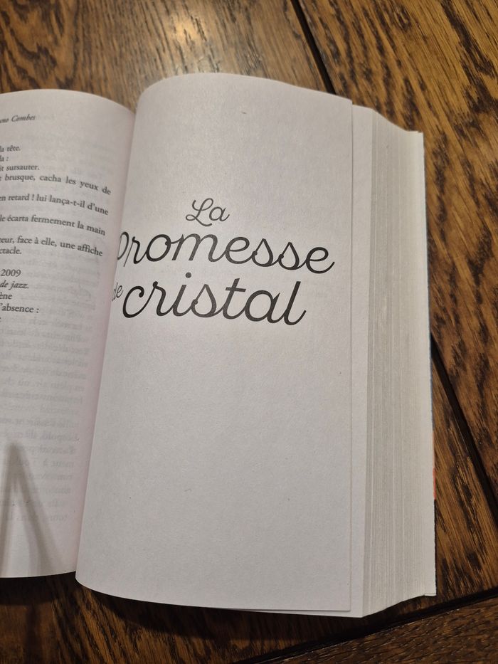 Le secret de la montagne noire (l'intégeale) de Michel Combes - photo numéro 4