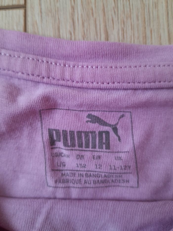 Puma - photo numéro 3