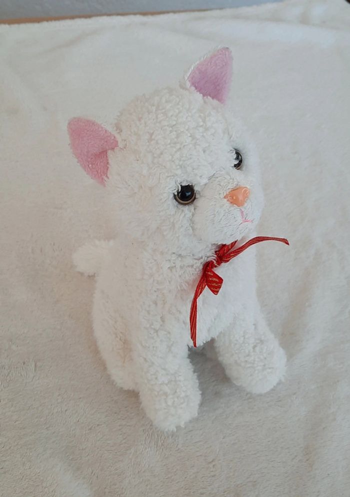 Peluche chat 🐱
