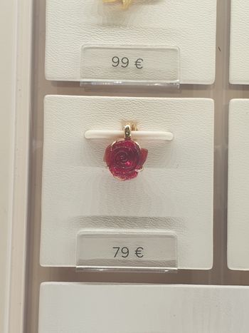 Charms Rose "Belle et la bête"