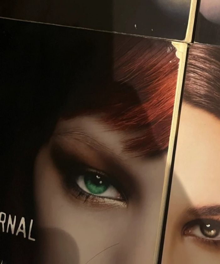 Romans Journal d'un Vampire tomes 1 à 11 Intégrale- L.J Smith Black Moon - photo numéro 7