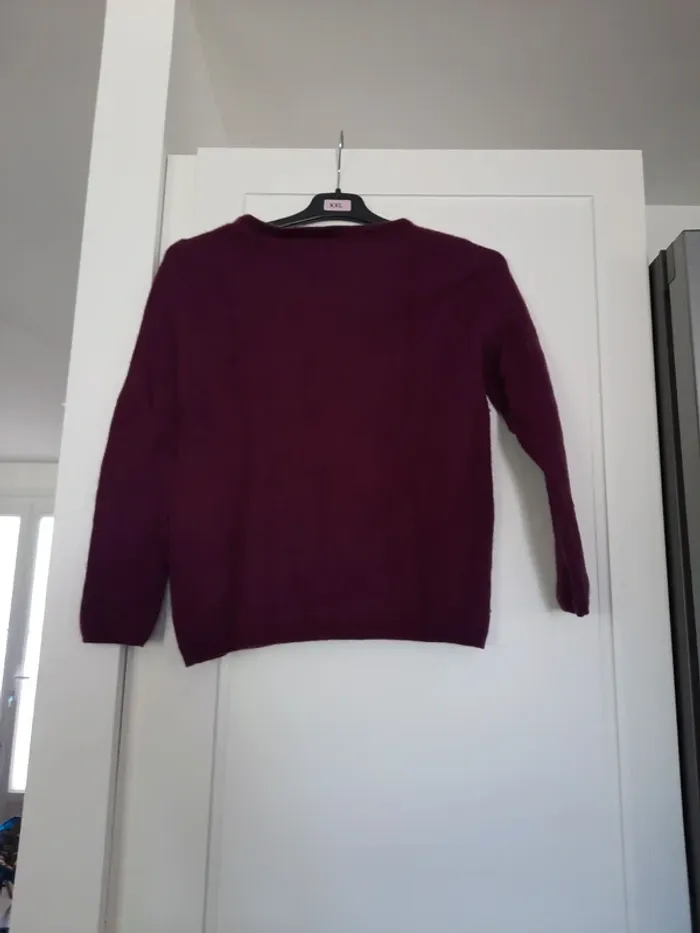 Pull prune - photo numéro 3