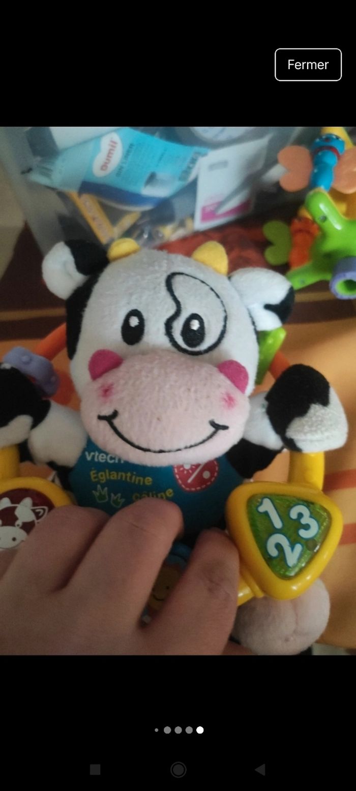 Églantine la vache câline j9
