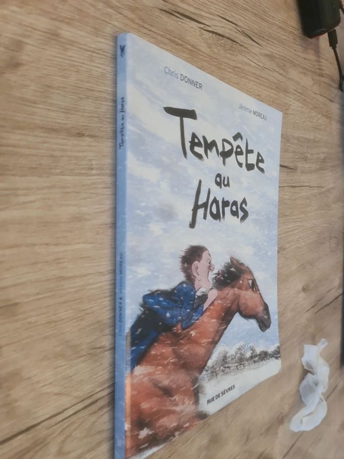 Tempête au haras - photo numéro 5