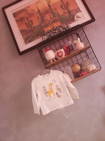 Teeshirt 🎀 mes petits cailloux 12 mois 2€