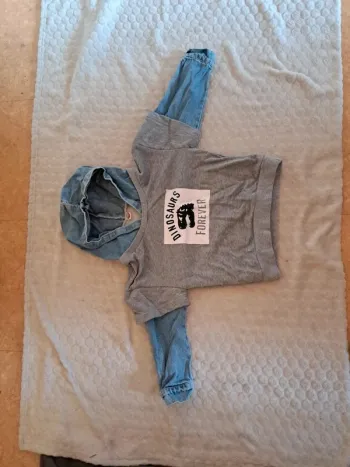 Sweat capuche enfant 3 ans – motif dinosaure