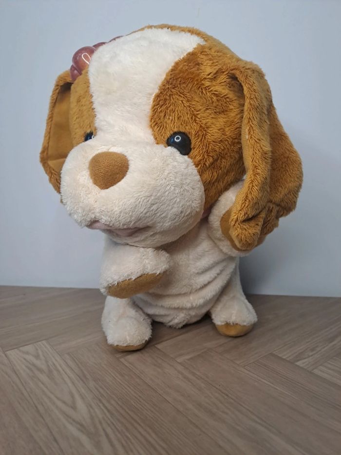 Chien - photo numéro 2